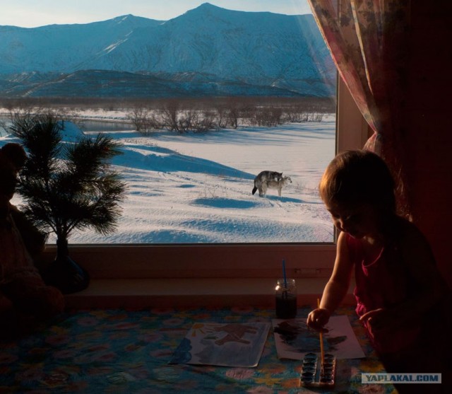 Фотожаба: Рисунок с натуры