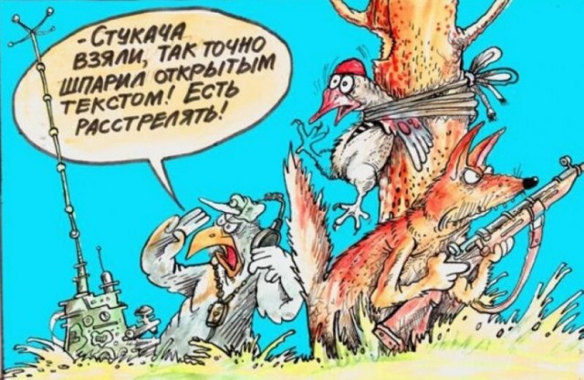 30 веселых картинок #2