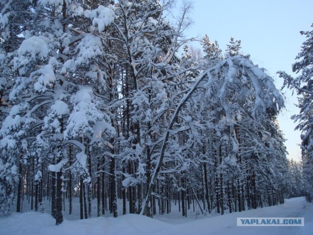 Зима в Выборге