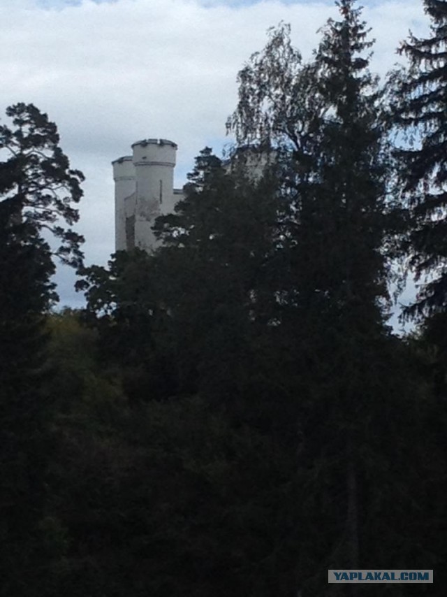 Выборг зимой