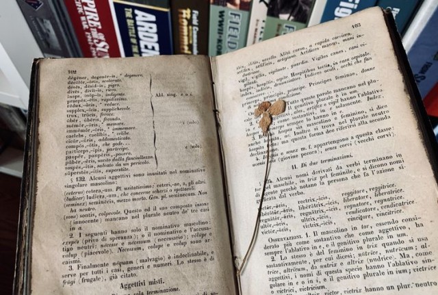 16 ценных находок на барахолках, которым позавидуют любители винтажа и антиквариата