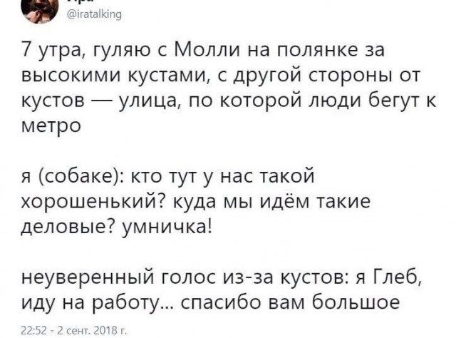 Весёлые картинки 03.06.2022