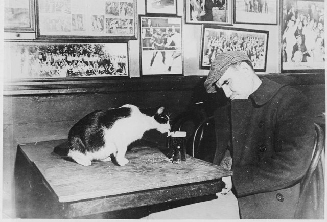 16 исторических фотографий и редких снимков звёзд, которые могут изменить ваш взгляд на вещи