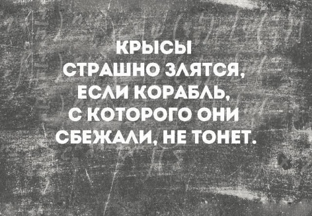Валерий Меладзе, ранее критиковавший СВО, вернулся в Россию и уже дает концерты.