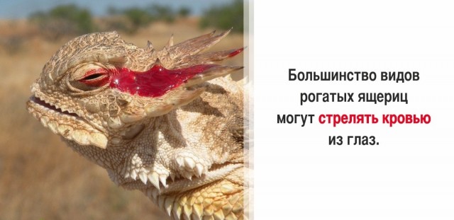 30 суровых фактов, которые пугают больше, чем фильмы ужасов