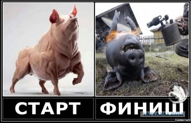 США помогли российским войскам устроить «черную пятницу» для ПВО Украины