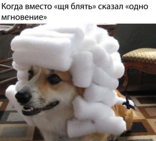 Картинки и мемы, всем хороших выходных