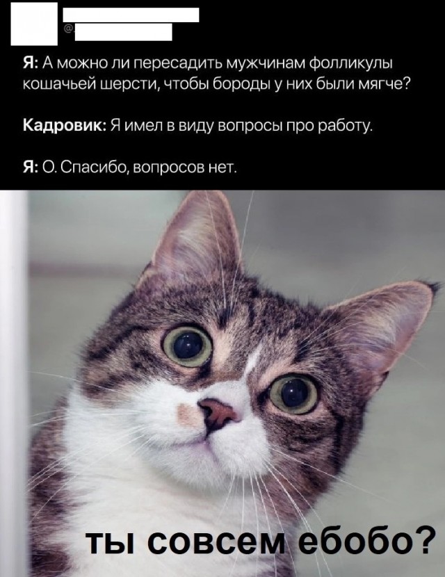 Нуштош 05.03.2023