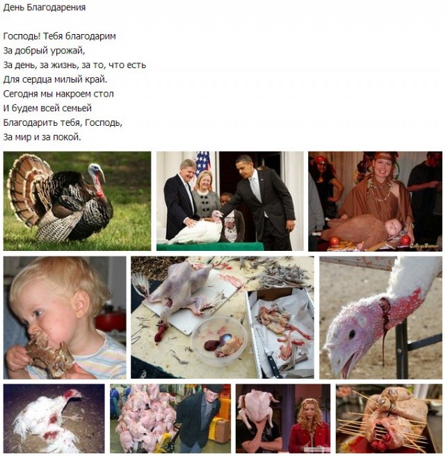 Животные добрые, они помогают друг другу