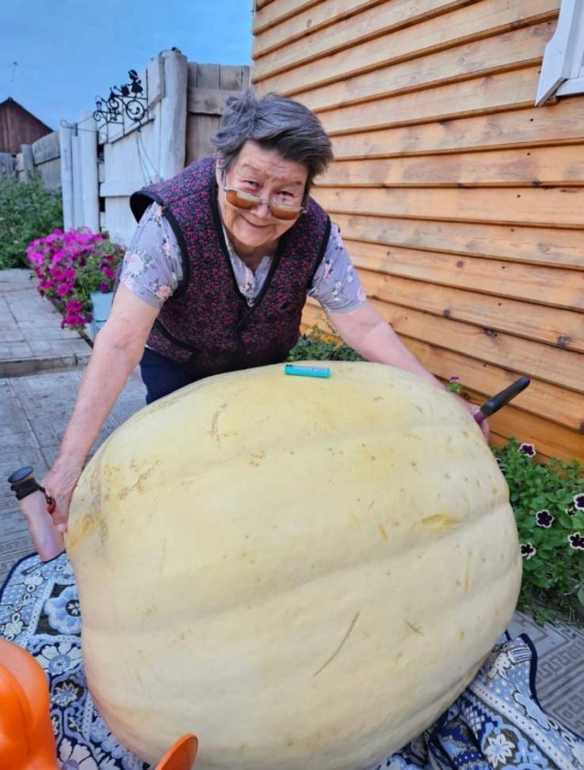 Жительница Якутии вырастила гигантскую тыкву весом более 112 килограмм