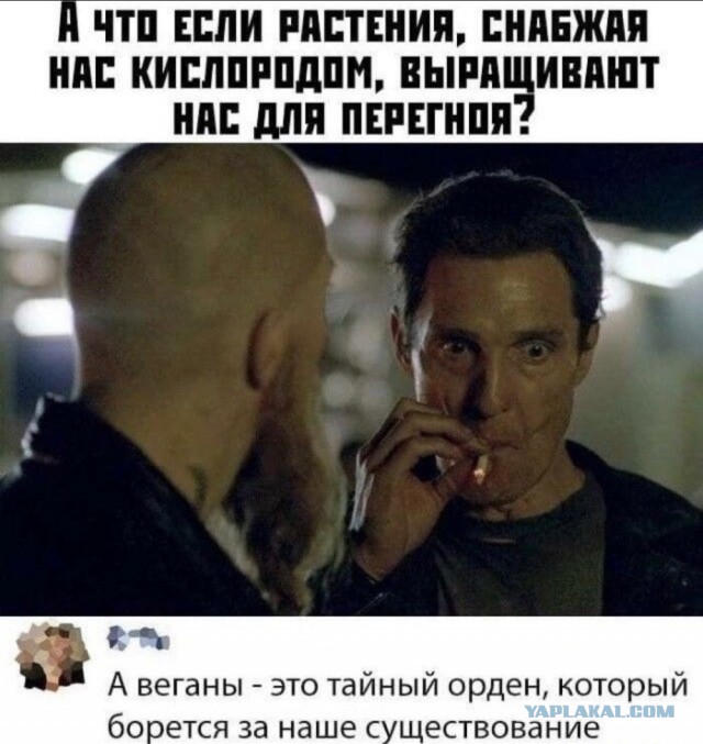 Ой... неувязочка вышла!