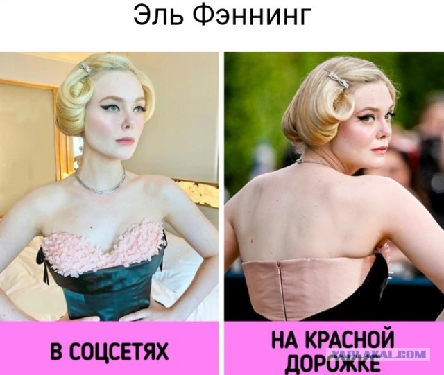 Такие разные звезды