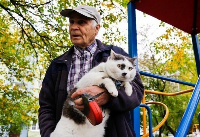 Лёва-феномен: степной кот-легкоатлет из Калининграда стал знаменитостью