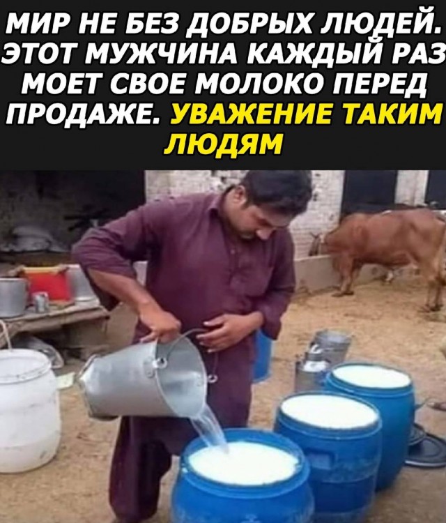 Весёлый полтишок 22.04.24