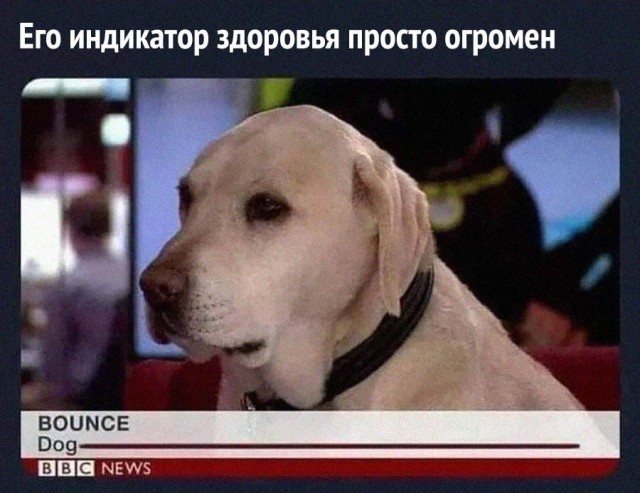 Веселые картинки к пятнице (26.07)