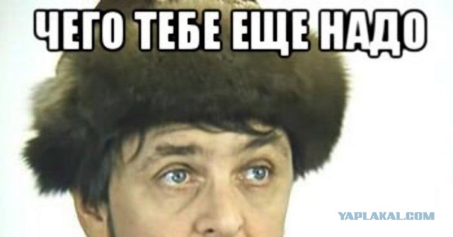 Дала жару на BMW