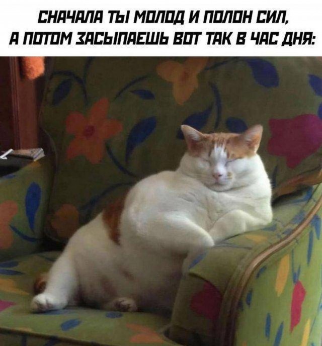Быстрое деградирование