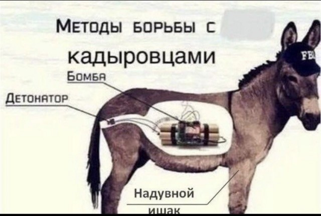 Катают своих дам