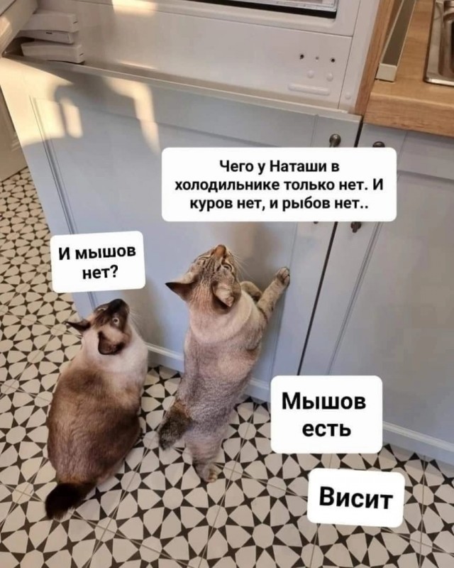 Так себе картинки 21.10.24