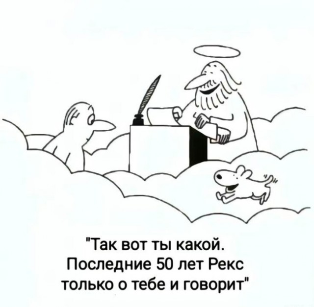 Так себе картинки 14.03.25