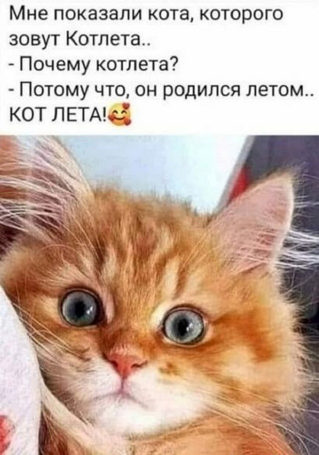Так себе картинки 16.03.25