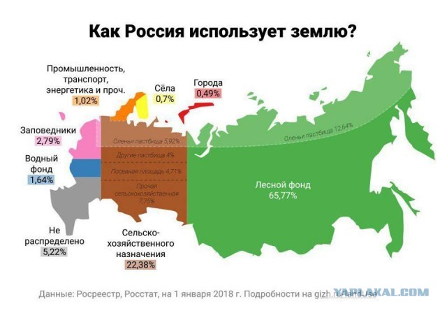 Немного бесполезной инфографики