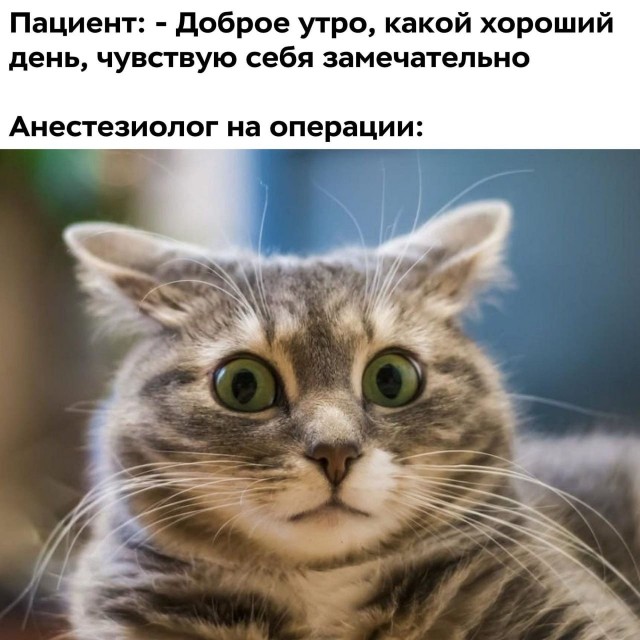 Десятый стоматолог