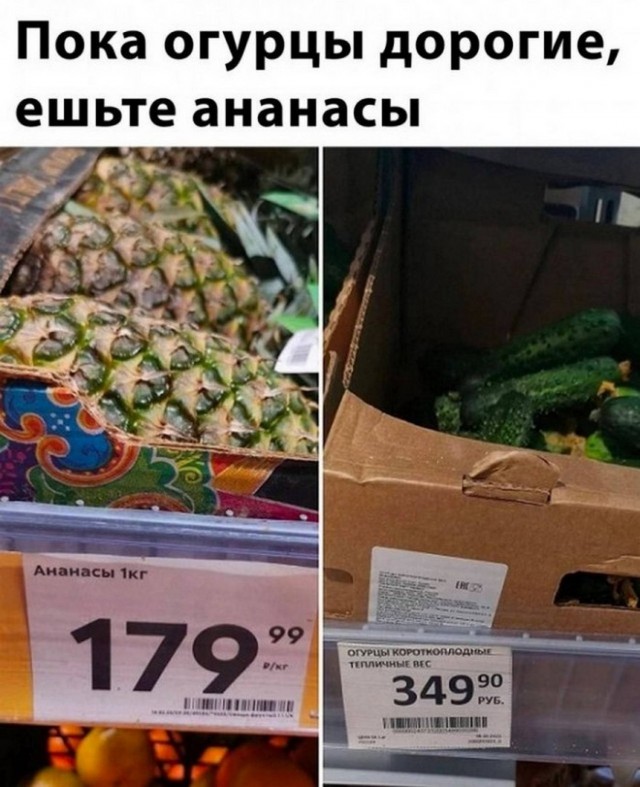 Веселые картинки в пятницу (11.07)