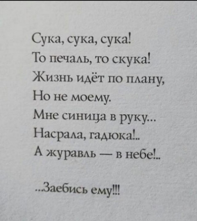 Так себе картинки 14.07.25