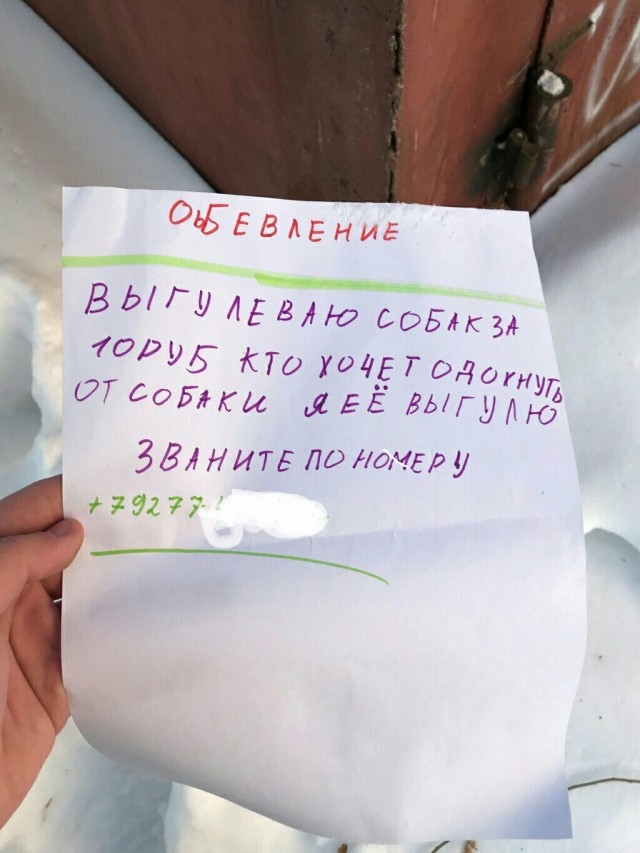 Так себе картинки 27.07.25