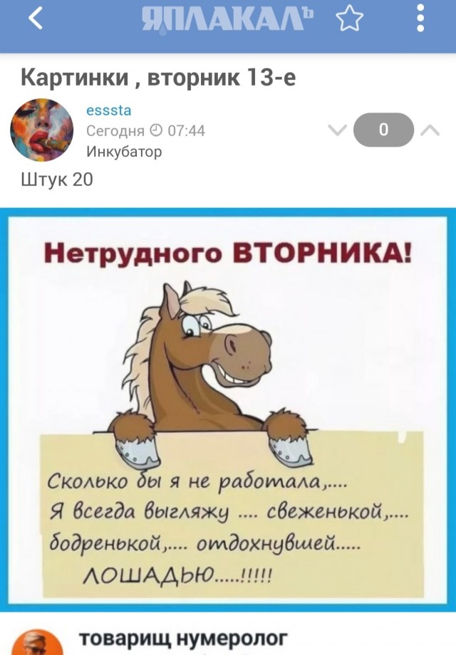 Картинки , вторник 14-е