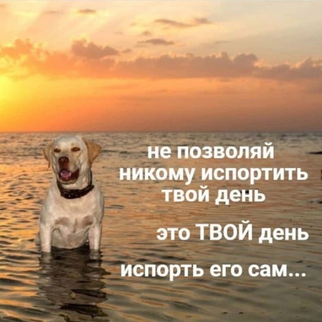 Картинки для деградации 72 (разной степени свежести)