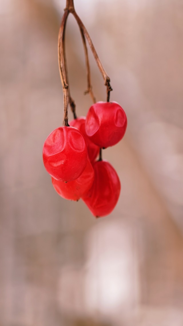 Голубые озера под Казанью