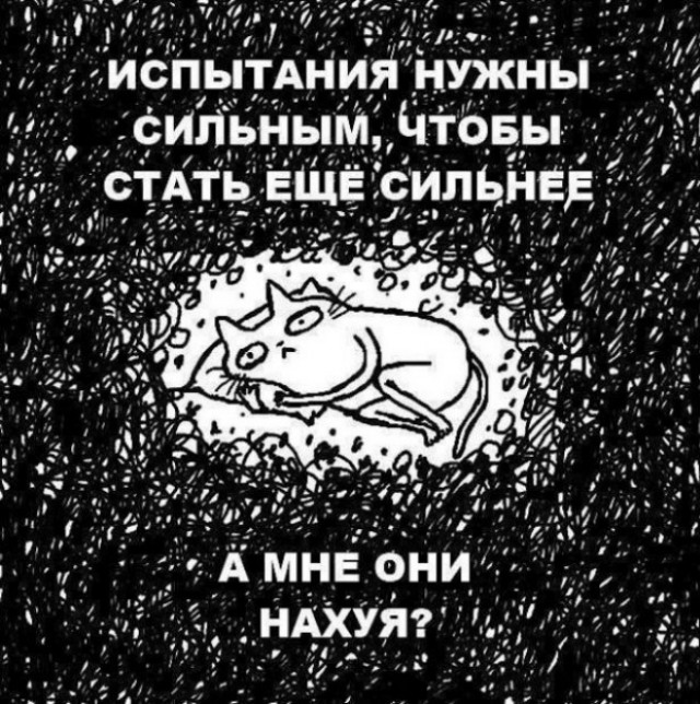 Последняя маленькая пятница 2025