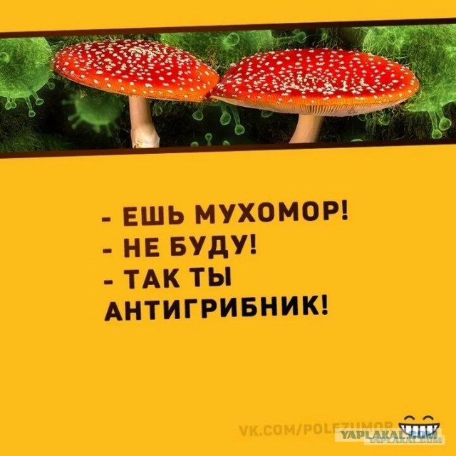 Я прививок не боюсь. Если надо, уколюсь!