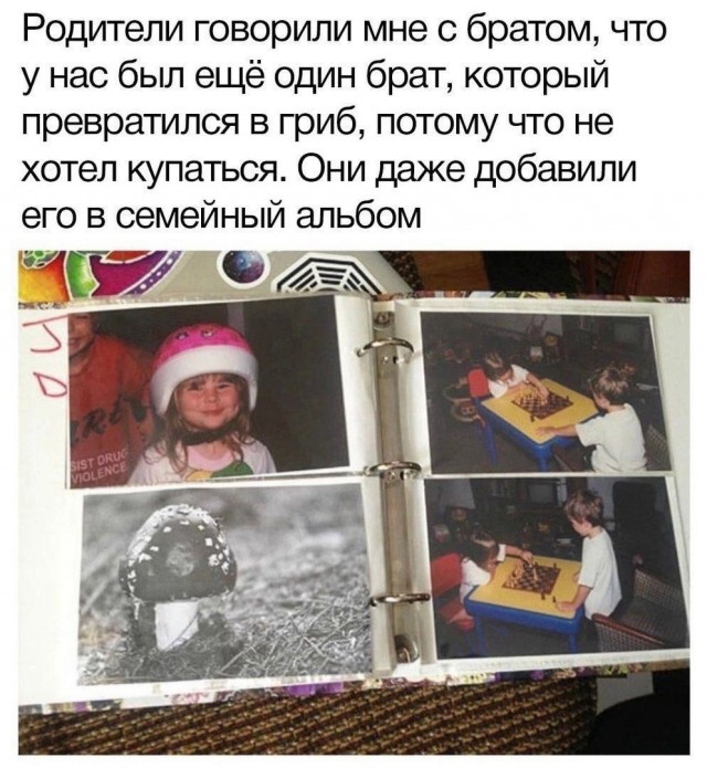 Так себе картинки 21.06.26