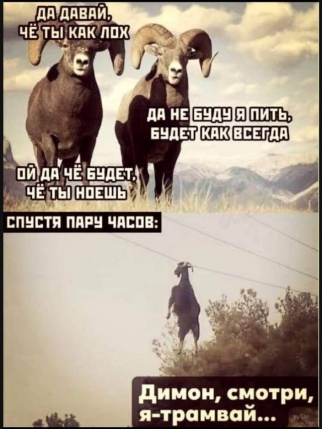 Картинки для деградации 246 (разной степени свежести)