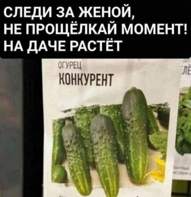Веселые картинки в пятницу (04.09)