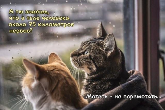 Так себе картинки 07.09.26
