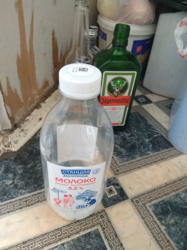 Мой кот