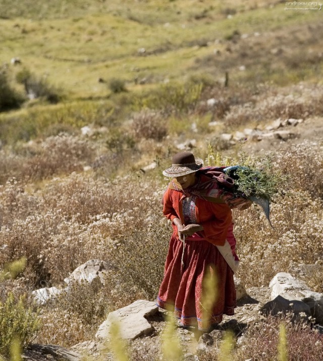 Перу: путешествие в ущелье Colca