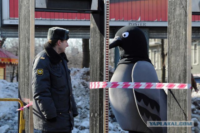 Веселые картинки
