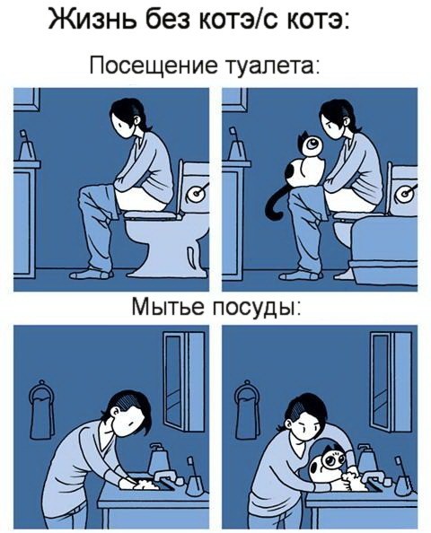 Жизнь До и После