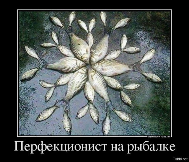 Рай перфекциониста
