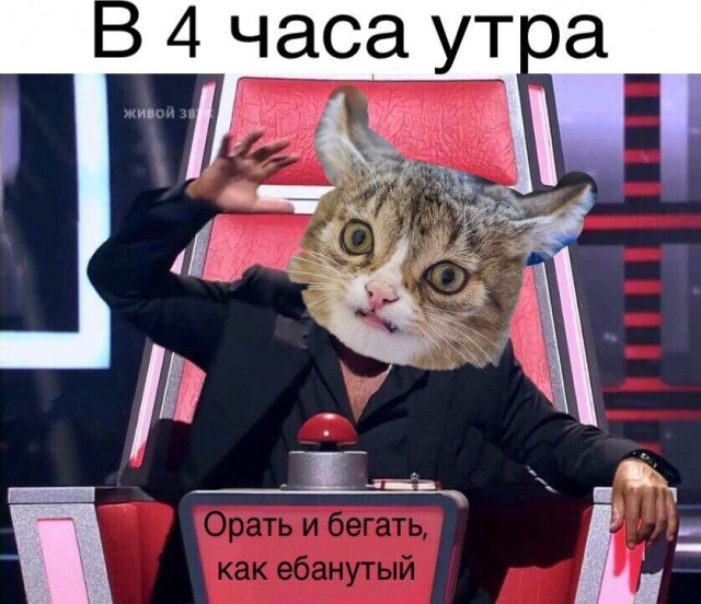 Немного деграданса - 6