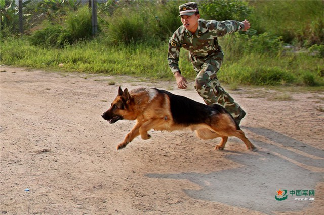 Прощание с боевым товарищем