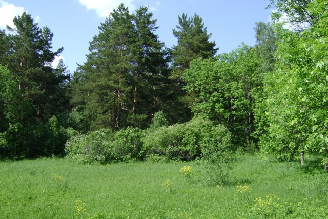 Новосибирск