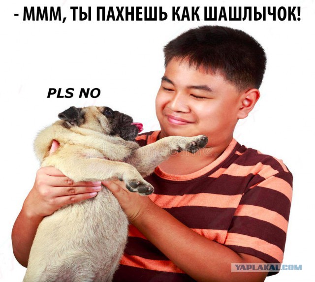 Моя порося. Просто так