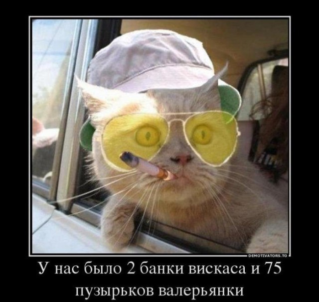 Просто юмор 13