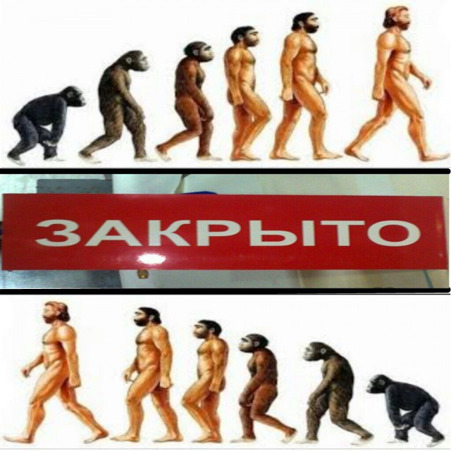 Подборка картинок